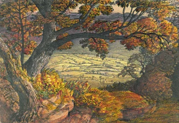 The Weald of Kent